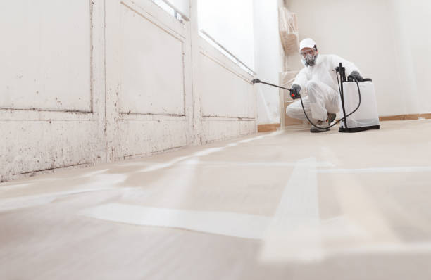 24/7 Emergency Mold Removal experts in Odessa, TX